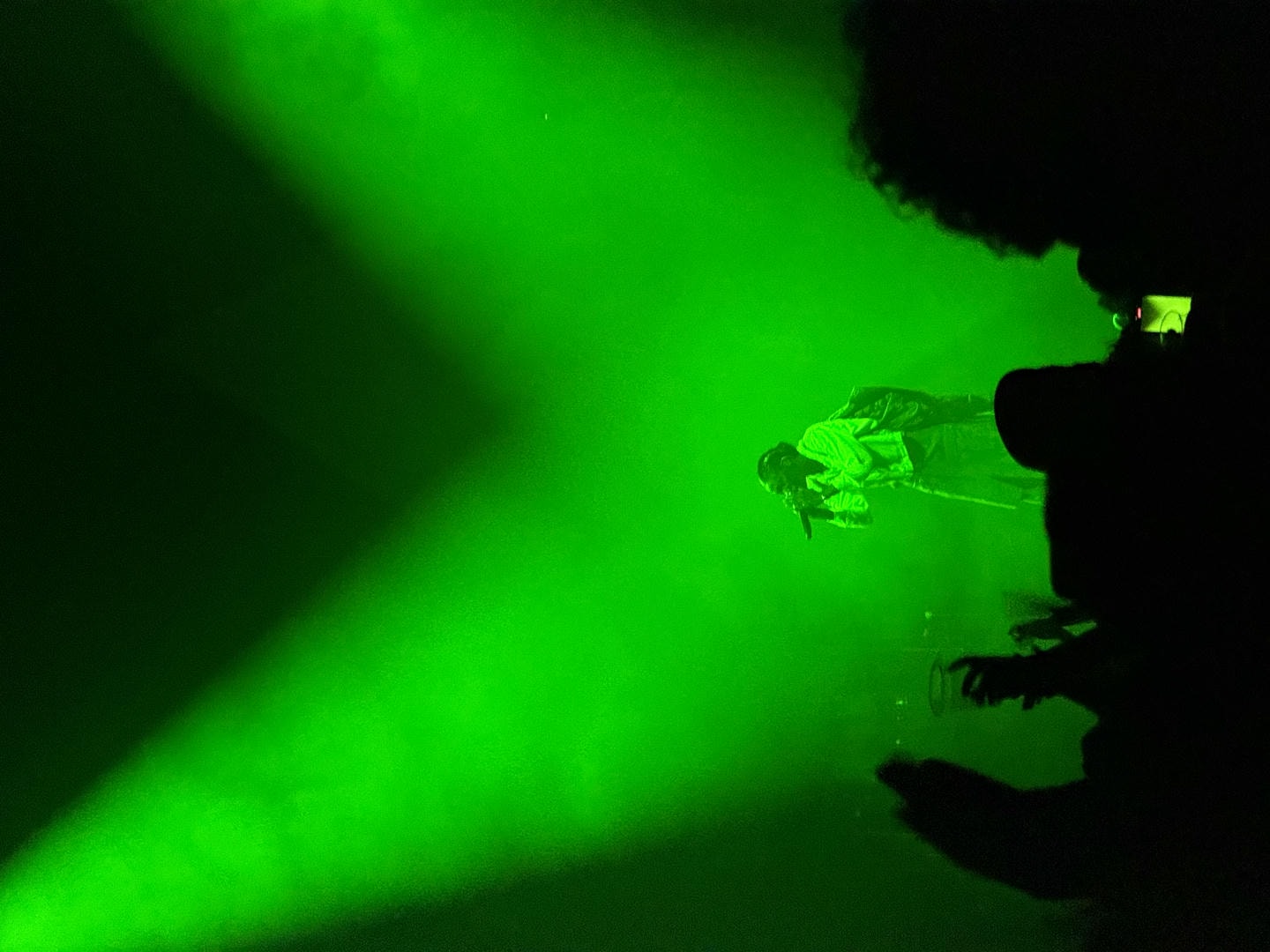 Little Simz on stage performing her song "Venom". She is lit by 2 spotlights from the top left and top right of the frame, and the whole picture has a green hue. The foreground contains a crowd of people watching her