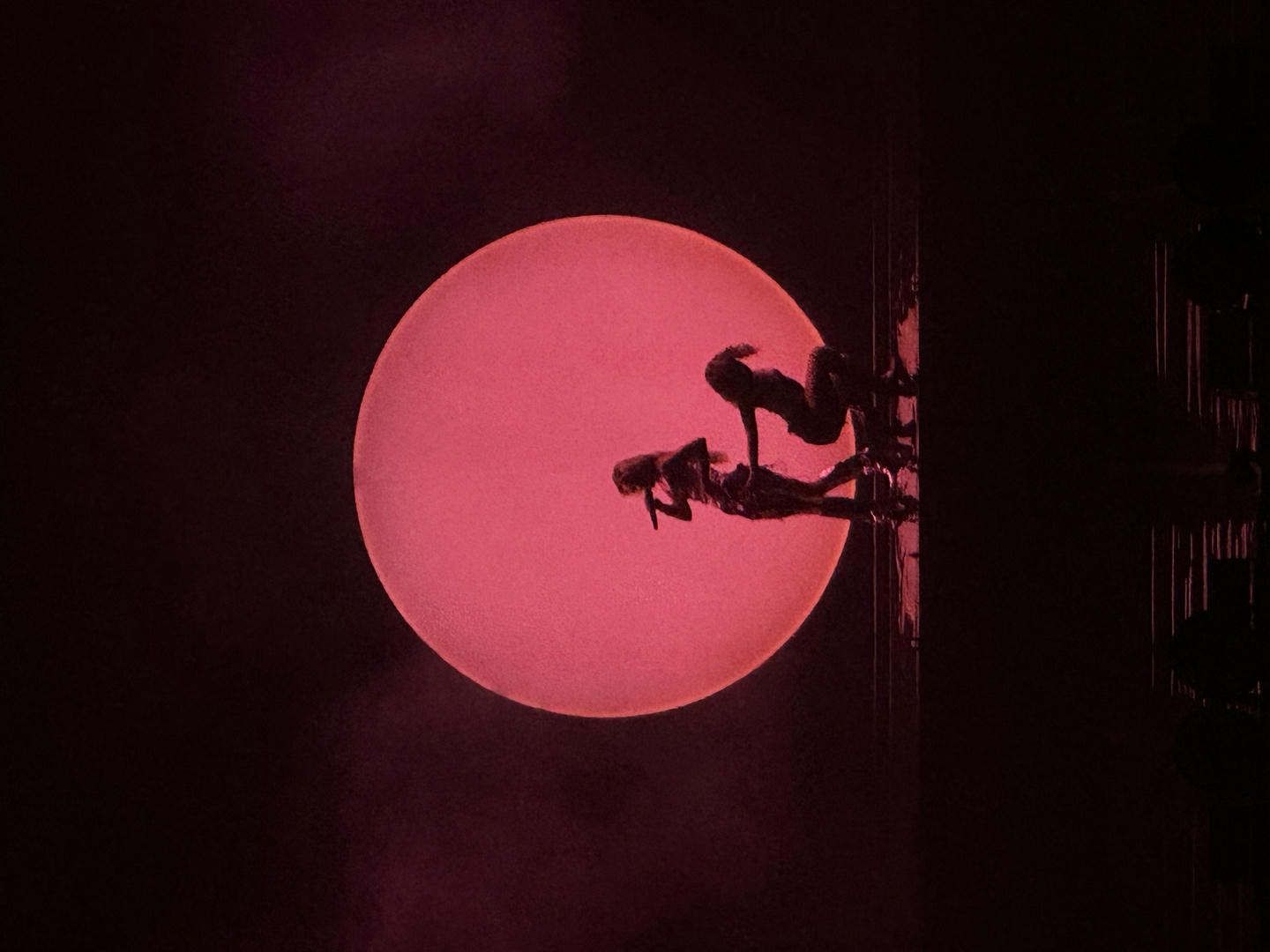 Zara Larsson's silhouette. She's backlit by a pink moon