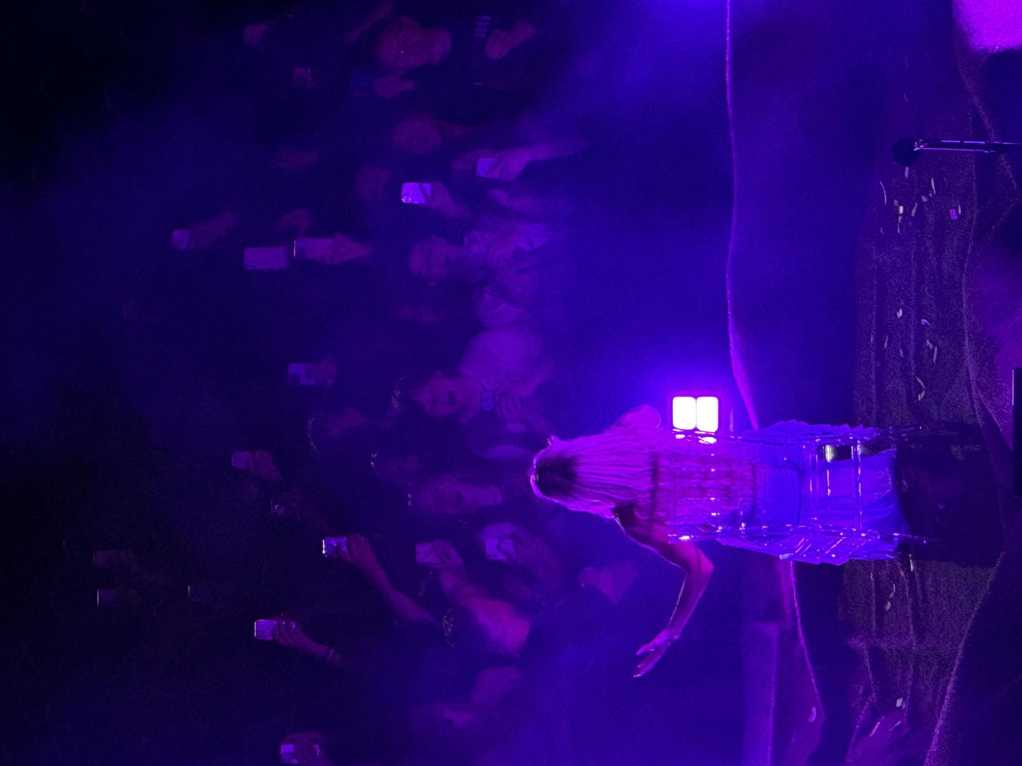 Zara Larsson photographed from the back. She's siging into the mic she's holding with her right hand, and several audience members can be seen looking at her